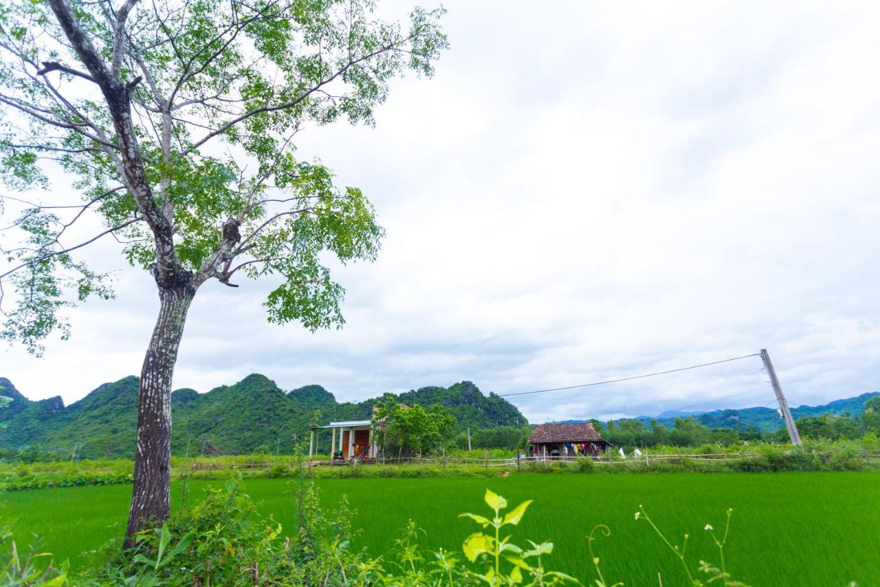 Pomelo Homestay Phong Nha Exteriér fotografie