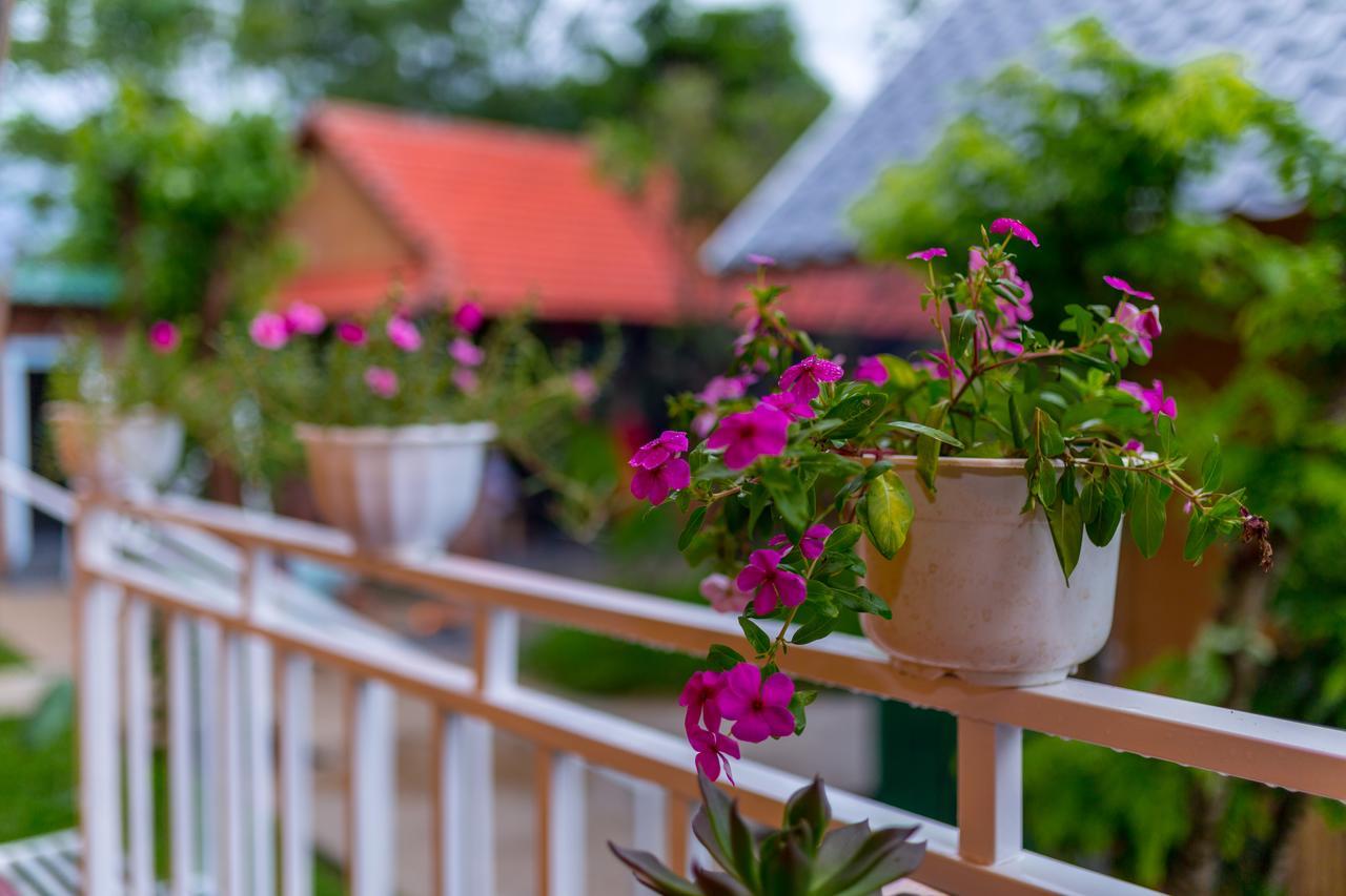Pomelo Homestay Phong Nha Exteriér fotografie