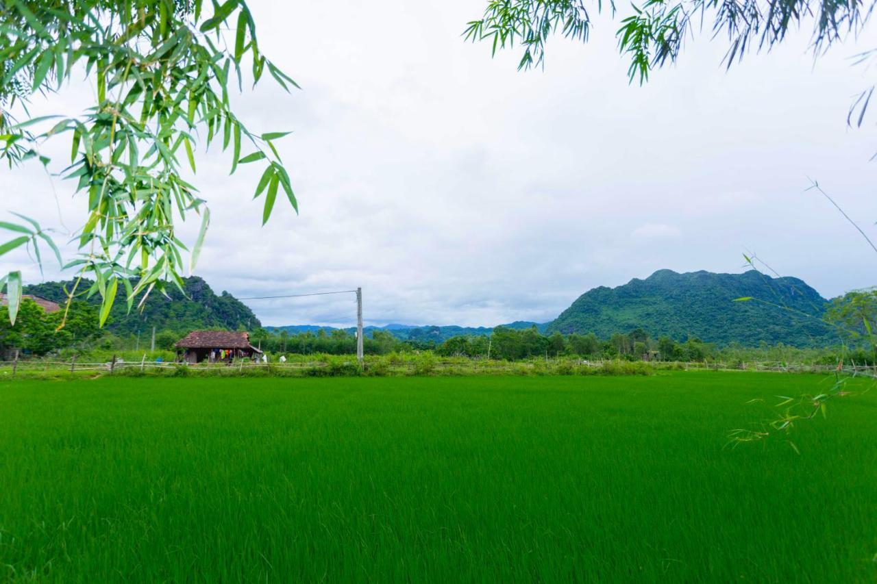 Pomelo Homestay Phong Nha Exteriér fotografie
